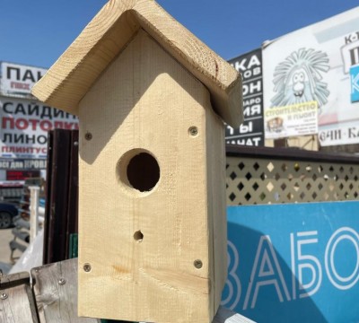 Скворечник хвоя